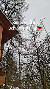 Winterzauber in Forchheim 🇩🇪 #Forchheim #Oberfranken #Bayern #Germany #Thanksgiving #Winter #Travel | Nuri Nagel