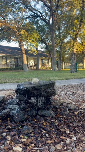 If you've been thinking about making the move to Independent Living, but still sitting on the fence. It's time to jump off!! We have 1 and 2 bedroom cottages ready for move in. Come make Wildflower Meadows Senior Living your home | Wildflower Meadows Senior Living Garden Cottages