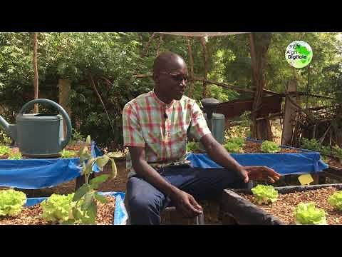 POTAGER HORS-SOL : Comment le realiser facilement