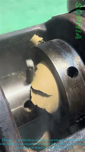 Oil Pressing: Traditional Oil Extraction from Seeds