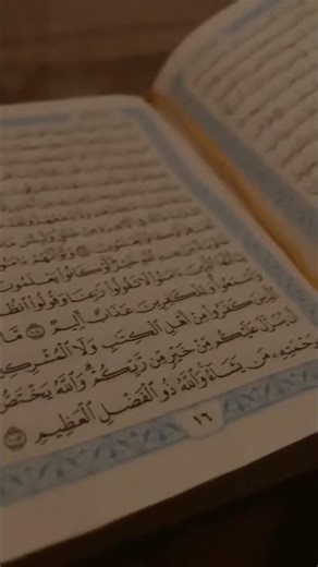 Understand the Purpose of Your Life | A Deep Reminder to Find Your True Meaning