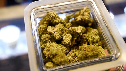 A timeline of marijuana laws in Colorado, Fort Collins