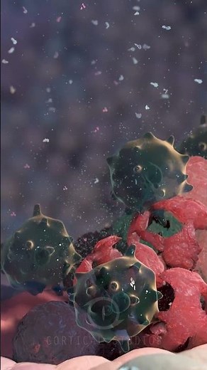 Ode to Immunity | MoA animations