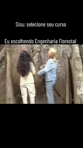 #sisu #sisu2024 #engenharia #engenhariaflorestal #engenheiroflorestal #engenheiro #viral #memes