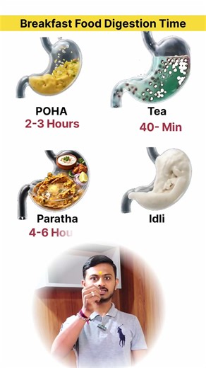 stomach digestion process | fast vs slow digestion food | #digestion