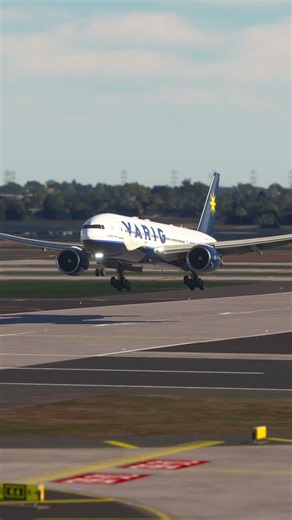 the pilot's actions endangered the plane's passengers EP425