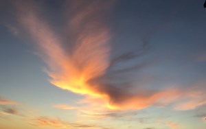 Breaking free from Patriarchy..there’s a little bit in everyone! | elephant journal