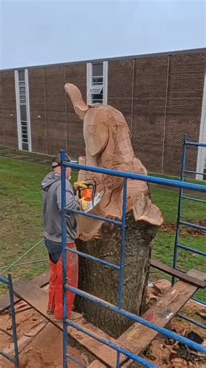 Panther Productions on Reels