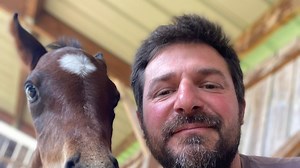 VIDÉO. Oplah, l’incroyable histoire d’un poulain prématuré soutenu par un couple courageux prêt à tout pour le sauver