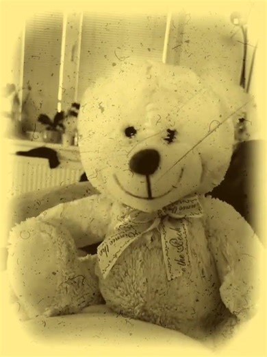 Teddy Bear 🧸 smiling / Titanic - my heart Will go on