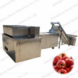 [Hot Item] Green Plum Pitting Machine