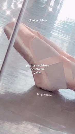 🩰 #prettyreckless #allsaintshigh #booktok #bookaesthetic don’t support lj shen, use zlibrary 💗