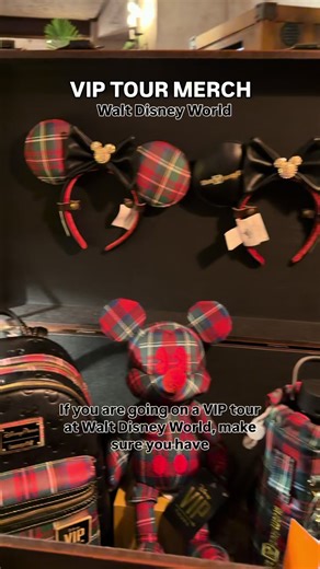 Exclusive VIP Tour Merchandise at Disney World