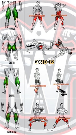 8 LEG EXERCISES for Stronger Legs | Quads, Glutes & Hamstrings