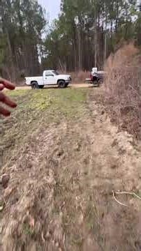 Sc rabbit hunting with dogs