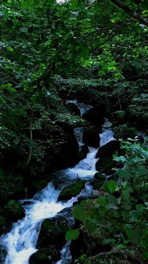 Nature, Ralaxing, Nature 4k, Relaxing Sounds, river stream Thirty One