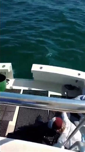 Cool Fish Tank and Crafts! #fish #aquarium #diy