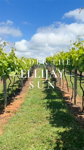 Under the Ellijay sun, the wine flows, and the North Georgia Mountains glow! 🍇🌄✨ Tucked in the North Georgia Mountains, Ellijay Wine Country is where summer slows down—and every glass tells a story. As one of the fastest-growing wine regions in the Southeast, it's the perfect place where you can chase sunsets through the vines, discover your new favorite vintage, and unwind in the beauty of the mountains. Picture this: a chilled glass of handcrafted red wine at a vineyard table, sunlight danci