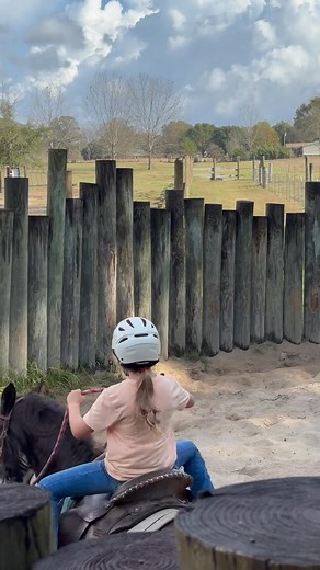 12 reactions · 3 comments | Ellie Dearman riding Bandit 1st lesson | Charles W. Bright | Facebook