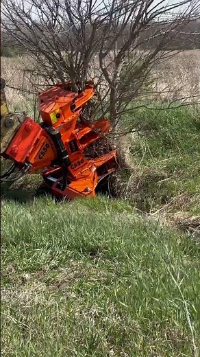 This excavator makes brush clearing look effortless
