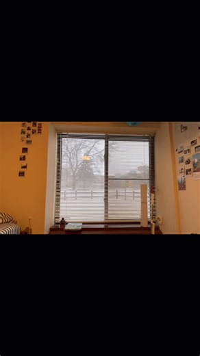 Choir practice, a game of pool at Boomer’s, watching snow settle across the campus rooftops. A day in the life of a Forester looks different for everyone! | Lake Forest College