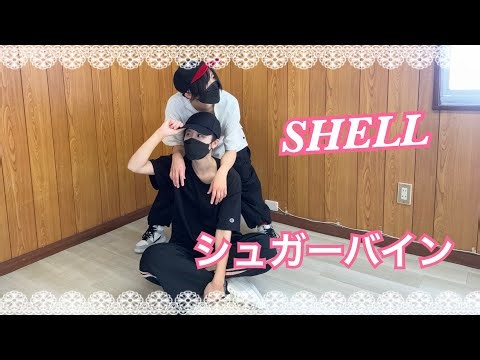 【SHELL】 シュガーバイン 踊ってみた（曲編集あり）