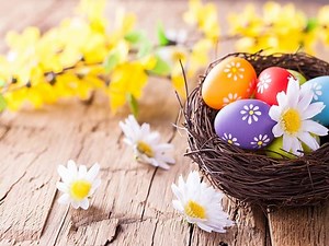 Immagini di buona Pasqua: le 106 foto più belle da condividere - A Tutto Donna