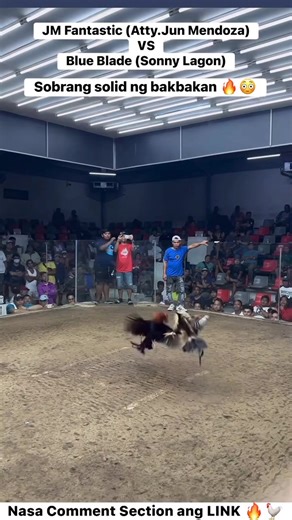 Grabe sobrang lakas 😱 M16 VS AK47 Grabe! Sobrang ganda ng laban 😯 JM Fantastic (Atty.Jun Mendoza) VS Blue Blade (Sonny Lagon) Sonny Lagon Wins using the Joe Goode Grey 🔥💪 | Romero Farm