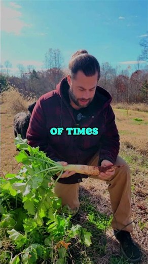 The secret weapon for clay soil