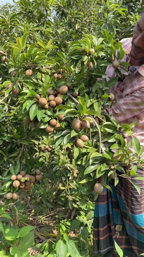 Seum Rahaman (@iamseum)’s videos with original sound - Seum Rahaman