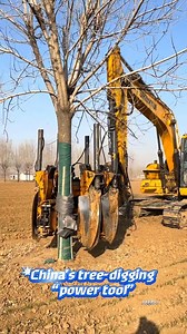👀 China's tree-digging “power tool” can uproot a tree in just 30 seconds—saving time and labor, and working with impressive rhythm. 🎶🌲🌳 #Chinalife #ChinaTech #chinaspeed #trees #digging #efficiency | Hola Fujian