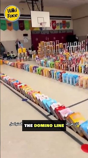 School Breaks Record with EPIC Cereal Box Domino Challenge! 😱