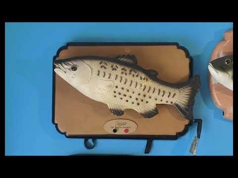 Sammy The Singing Salmon