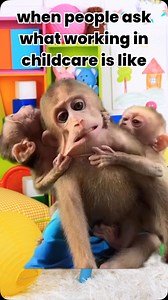 4.2K reactions · 1.9K shares | Daycare Providers Unlimited/Linda Hopkins on Reels | Facebook