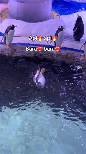 Exploring the Impact of Green Creators on Social Media