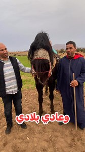 وعادي بلادي on Reels