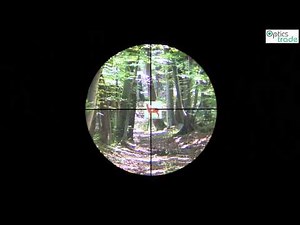 Vortex Crossfire II 4-12x44 reticle V-plex subtensions