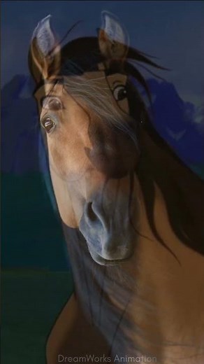 Spirit's 31! #spiritstallionofthecimarron #horse #wildhorses #sanctuary #dreamworksspirit #savewild