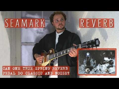 Exploring a Fully Analog, Experimental Spring Reverb | Seamark Reverb MK2 | Demo & Review