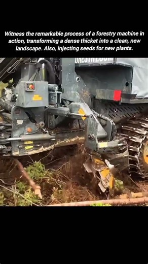 Forestry Machine Clearing Land and Injecting Seeds for New Plants.