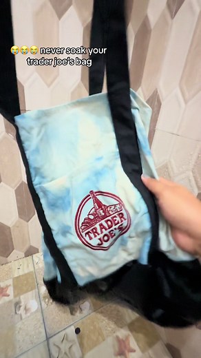 How to Wash Trader Joe's Tote Bag Without Blue Dye Transfer