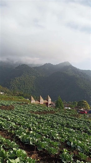pemandangan gunung Ciremai dari sukageuri view #camping