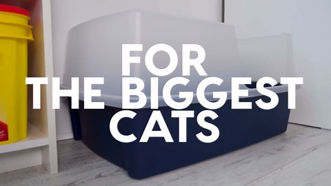 IRIS USA XX-Large Side Entry Cat Litter Box, Open Top Extra Large Litter Box for Big Cats and Multi-Cat Households, High Sided Scatter Shield, Easy to Clean, 30" L x 20" W x 14" H, Navy