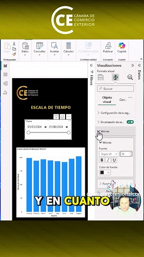 Segmentador de Datos con Escala de Tiempo en Power BI