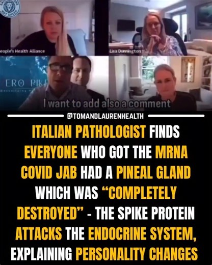 Tom & Lauren on Instagram: "🚨PINEAL DESTRUCTION IN THE JABBED An Italian pathologist confirmed that the spike protein injected through the COVID jab is infiltrating the brain, damaging the endocrine system, and destroying the pineal gland - the very gland associated with consciousness, intuition, and identity. The pineal gland is also vital in producing essential hormones like melatonin, which protects us from cancer. This isn’t just about physical health anymore… We’re witnessing personality c