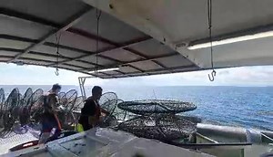 Hauling the pots onboard commerical crab vessel operatng in SA | On The Deck - Footage from Australia's Commercial Fisherman