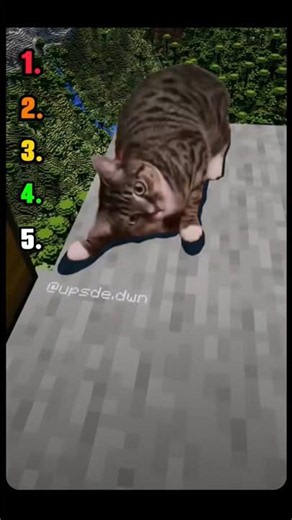 5 Funniest Minecraft Cat Moments You Won't Believe! Part 1 🐱🎮 #Shorts #Minecraft #FunnyCats