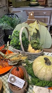 The Rusty Bucket on Reels