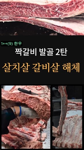 Short Rib Deboning Part 2 | Process of Separating Rib Meat and Chuck Flap Tail, and Real-World Wo...