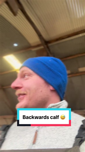 Exploring CowManager's Ear Tag Health System